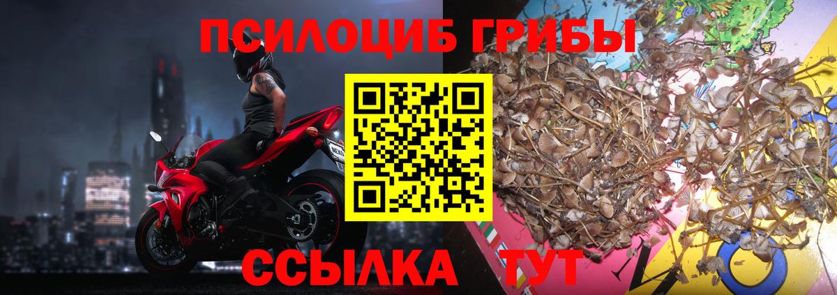 Псилоцибиновые грибы мицелий  Галлюциногенные грибы прущие грибы  Кунгур  Вход с VPN 