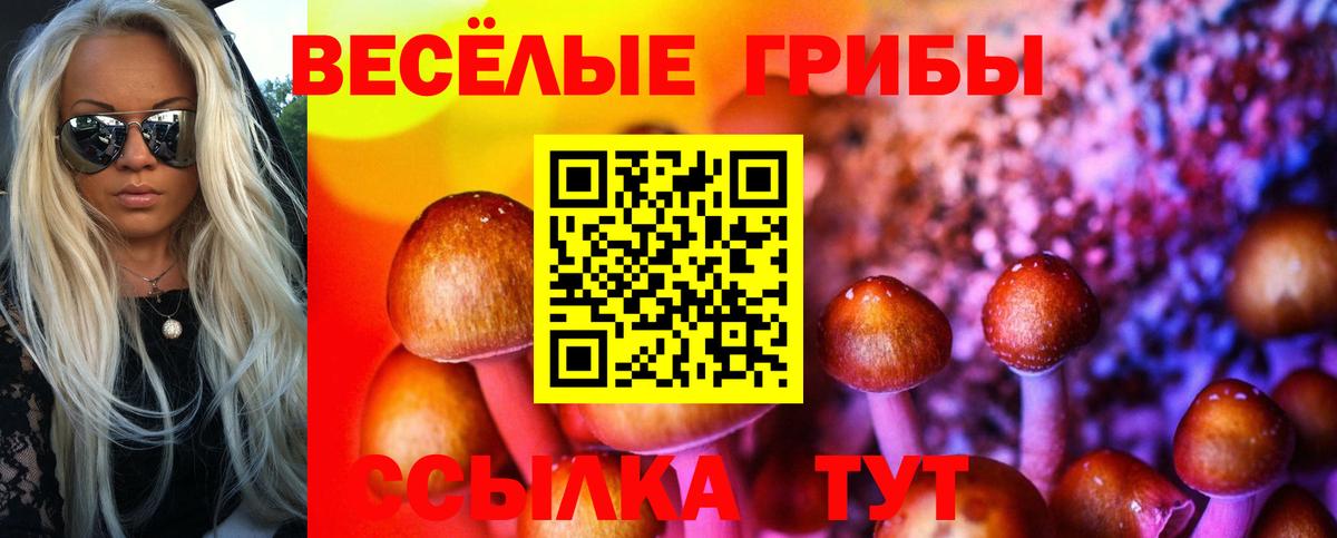 Галлюциногенные грибы мицелий Кунгур